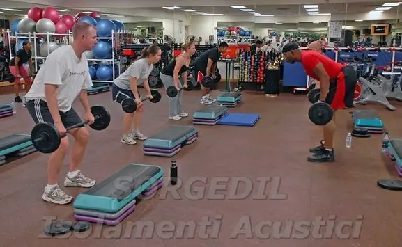 Una panoramica sulle normative acustiche che regolano palestre e centri fitness, con focus su obblighi legali e strategie per migliorare l'ambiente sonoro.