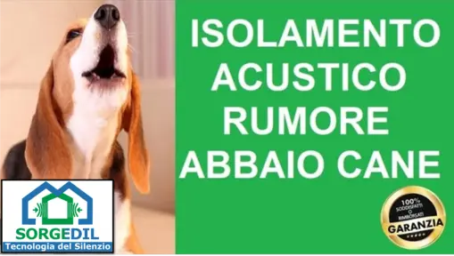 Isolamento Acustico per Ridurre l'Abbaio dei Cani nelle Case