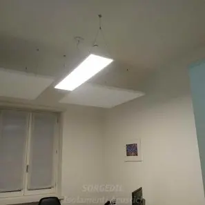 Intervento Reale in Sala Riunioni con Pannelli Acustici a Soffitto – Sorgedil