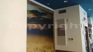 Soluzione acustica personalizzata accanto a murale d’effetto in locale pubblico<br /><br />
